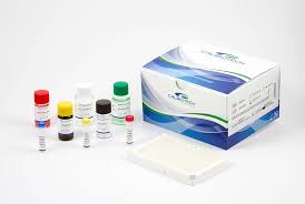 Calbiotech ELISA Kits: Revolutionizing Immunoassay Research