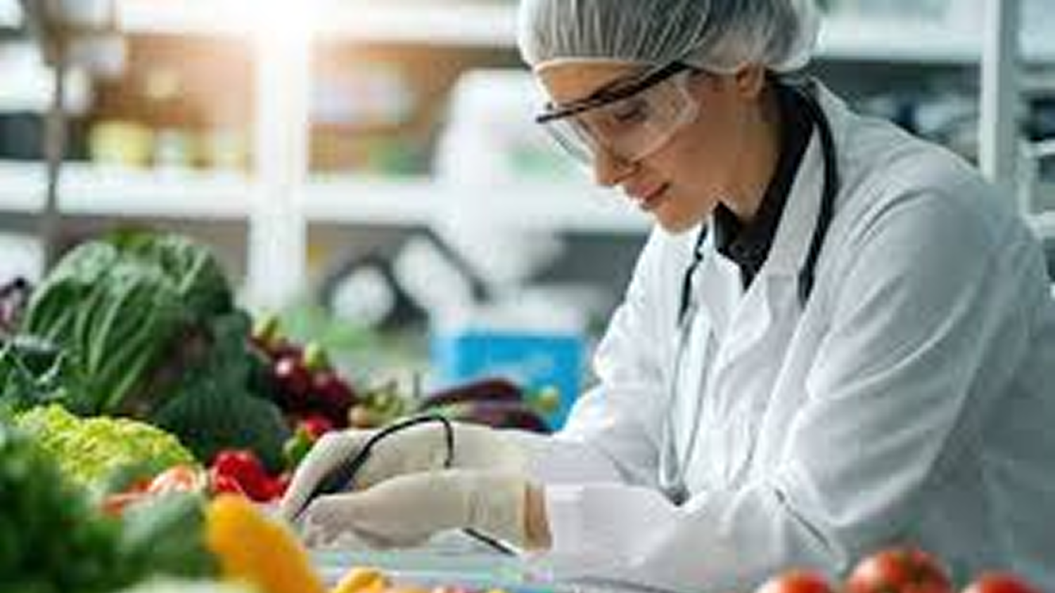 Food Safety Testing: Protecting Health from Farm to Table