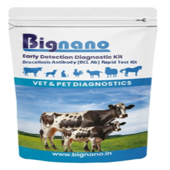 Bignano Bovine Brucellosis Antibody [BCL Ab] Rapid Test Kit