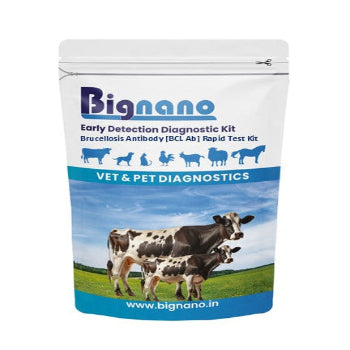 Bignano Brucellosis-Tuberculosis Antibody [BCL-TB Ab] Rapid Test Kit