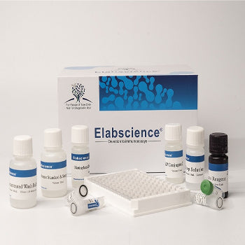 Elabscience Human RBP4[Retinol Binding Protein 4] Elisa Kit