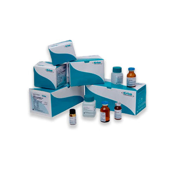 Erba Liquixx Creatinine 4 X 60 Ml