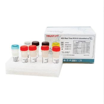 TRUSTgen HCV Real Time PCR Kit