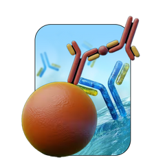 Immunoassay